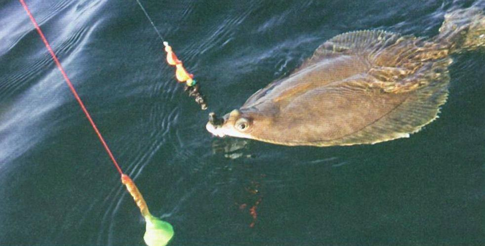 ����� ����� ������� � ���� ����� �� ���