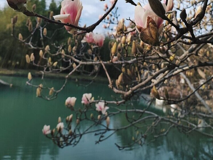 �������� ����� ������������ � ����� ������ ��������� � ����