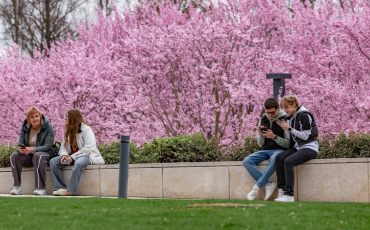 ������� ��������� ������ � ������������ ���������� � ���� � ������ 2026 ����