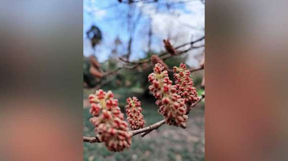 � ���� ������� "��������� �����" � ������ ����������