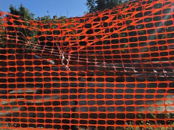 � ���� ���������� ������� ���� �������� �� �������������� �����