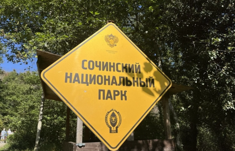 ���� ���� ����� ���������� ������������ ��� ����������� ������ �� �������