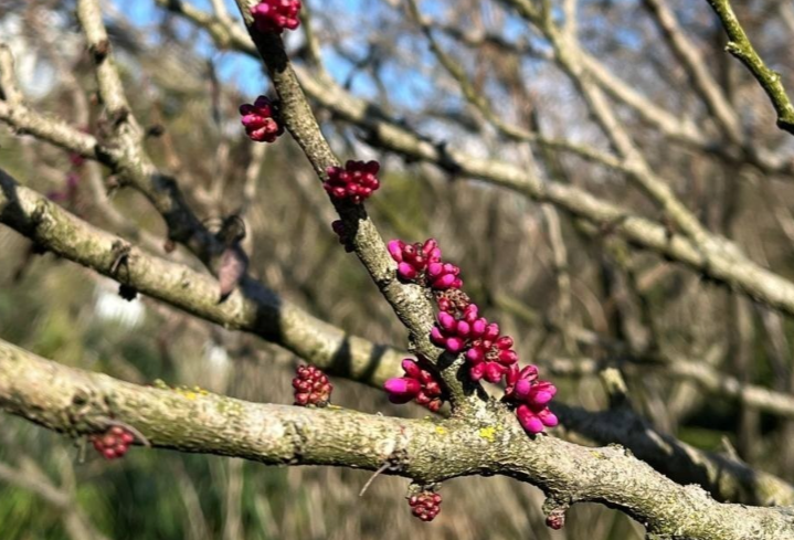 ��������� ������ ��������� �� ������� ������ � ����