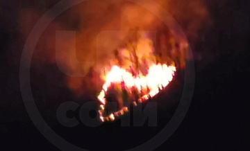 На горе Пикет в Сочи произошел лесной пожар