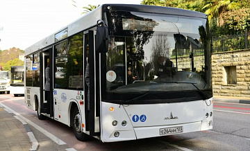 В Сочи сократят количество автобусов