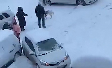 Из-за снегопада в Сочи произошло массовое ДТП