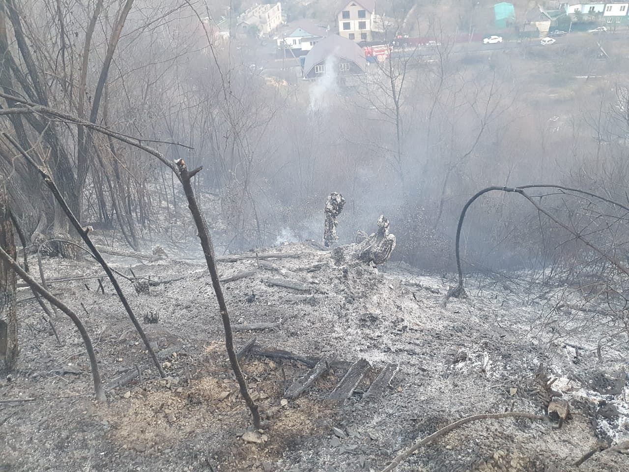 В Сочи локализовали крупный лесной пожар